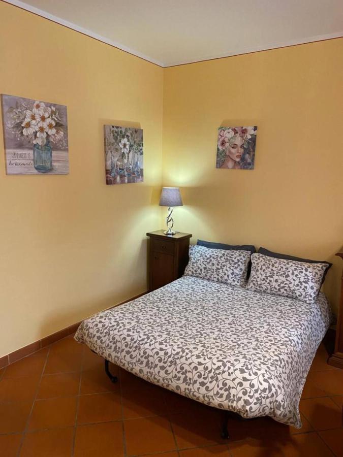 La Terrazza Daire Spoleto Dış mekan fotoğraf